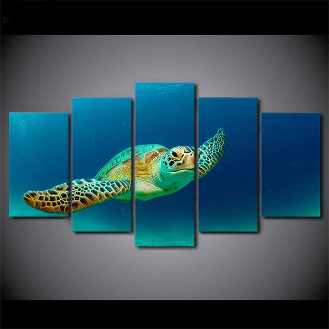 Sea Turtle 5 Pieces Printed Poster